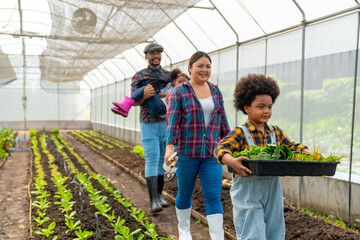Happy African farmer family on agriculture farm growing organic vegetable together in greenhouse...