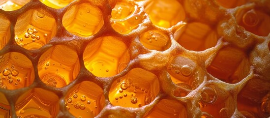 Close-Up: A Natural Symphony of Honey, Honeycombs, and More Honeycombs