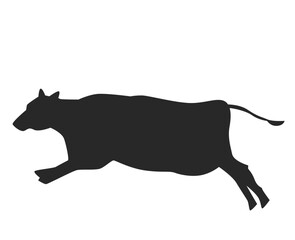 space and astronomy vector icon