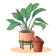 Isolated vector illustration of houseplant. Aglaonema plant in pot. Home garden, potted plant, interior concept.