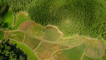 Aerial view of patchwork agricultural fields bordering a dense green forest, depicting rural...