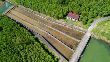 Aerial view of a water purification plant with sedimentation tanks adjacent to a lush green forest