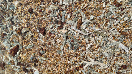 Clear shallow waters flow over a pebbled beach, creating a natural mosaic texture suitable for backgrounds or nature concepts
