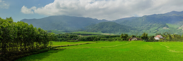 Lush green rice fields with distant mountain range and scattered rural houses under a partly cloudy sky, depicting tranquil rural life  Earth Day concept