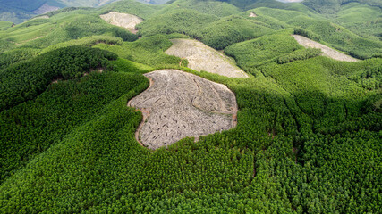 Aerial view of deforestation in a lush green landscape, highlighting environmental challenges and...