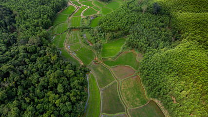 Aerial view of a patchwork of green agricultural fields nestled between dense forest areas,...