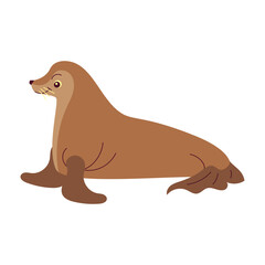 Sea Dog Cartoon Style Illustration