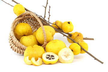 Quince fruits overflowing from wicker basket on white