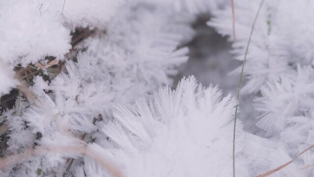 Macro Shot of Frost Crystals, Winter Ice Hoarfrost