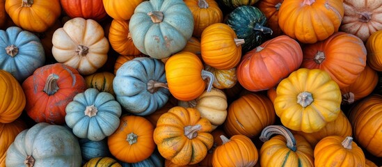 California Farmers Market Image Showcasing Bountiful Pumpkins in a Vibrant Patch at the Farmers Market in California