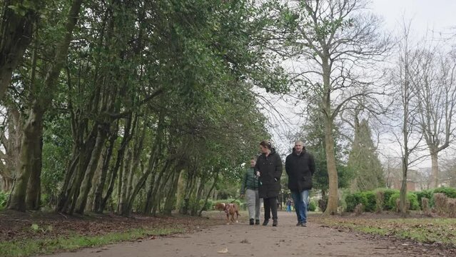 Family strolling through serene park with their dog secured on lead