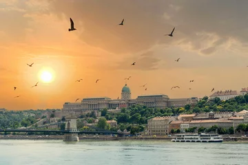 Foto op Plexiglas Kettingbrug Szechenyi Chain bridge over the Danube River in the city of Budapest. Urban landscape with old buildings, St. Stephens Basilica and opera domes. Reddish sky and flying birds in the background. Hungary