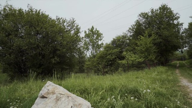 Moving from the view of the treetops and the sky, to a rock with a name inscribed on it, near the woodlands of Tsarichina Hole in Bulgaria.