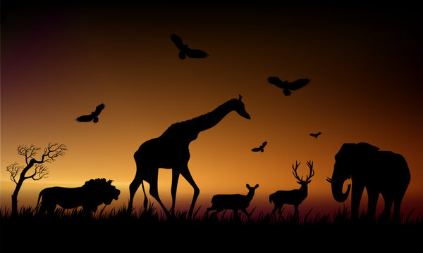 An African safari silhouette animal on sunrise, sunset landscape scene vector illustration nature background.