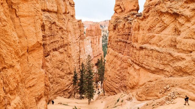 Walk track down to the Bryce Canyon, Utah