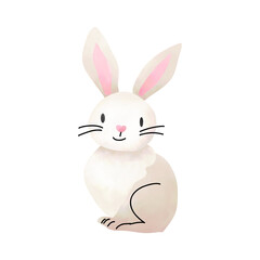 Fototapeta premium Cute rabbit isolated on white