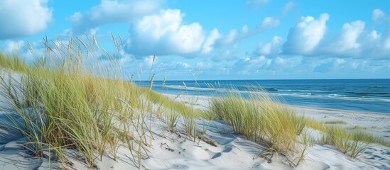 Dunes, Beach, and Baltic Sea: A Trio Of Dunes, Beach, and Baltic Sea Unveiling the Breathtaking Charms Of the Dunes, Beach, and Baltic Sea - obrazy, fototapety, plakaty