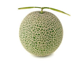 Cantaloupe melon isolated on white background