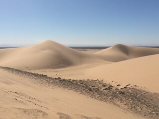 Fototapeta na wymiar Imperial Sand Dunes in California 