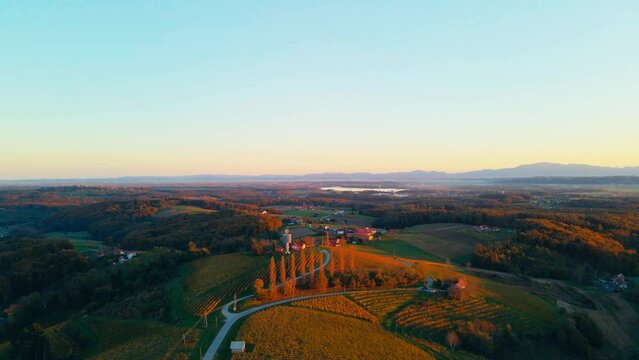 Stunning aerial 4K drone footage of a Slovenian countryside. Filmed on a crisp, sunny late autumn day. This video shows beautiful slovenian region surrounded with vineyards during the sunset.