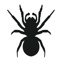 Obraz premium spider icon vector