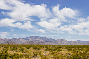 Desert in Arizona with green bushes and cacti on a sunny day with blue sky and white clouds. Nature near Phoenix, Arizona, USA