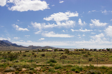Desert in Arizona with green bushes and cacti on a sunny day with blue sky and white clouds. Nature...