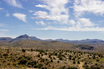 Desert in Arizona with green bushes and cacti on a sunny day with blue sky and white clouds. Nature...