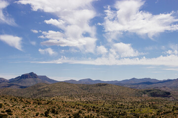 Desert in Arizona with green bushes and cacti on a sunny day with blue sky and white clouds. Nature...
