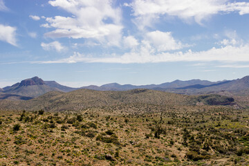 Desert in Arizona with green bushes and cacti on a sunny day with blue sky and white clouds. Nature...