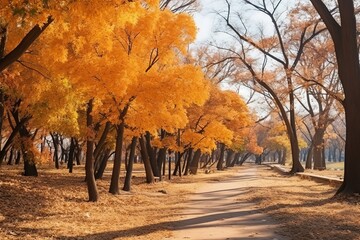 Create a detailed description of a picturesque autumn park with golden fallen leaves