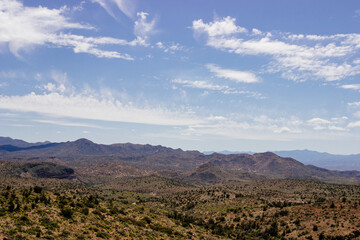 Desert in Arizona with green bushes and cacti on a sunny day with blue sky and white clouds. Nature...