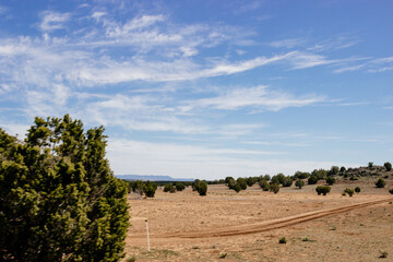 Obraz premium Beautiful blue sky with fluffy clouds over the highway. Scenic road in Arizona, USA on a sunny summer day. 40 hwy, 10 hwy in Arizona, USA - 17 April 2020