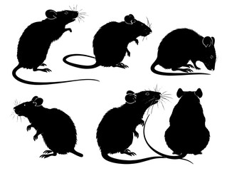 Set of silhouette of a mouse - vector illustration.