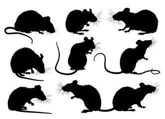 Mouse animal icon vector design template.Rat silhouette logo. black mouse symbol vector.