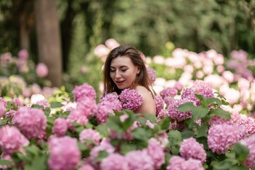 Hydrangeas Happy woman in pink dress amid hydrangeas. Large pink hydrangea caps surround woman. Sunny outdoor setting. Showcasing happy woman amid hydrangea bloom.