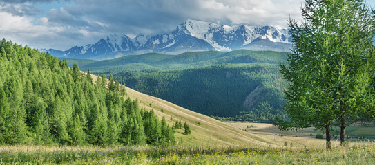 Picturesque mountain valley on a sunny summer morning	 - obrazy, fototapety, plakaty