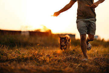 A man running and dog happy run after him and need  dog treats on  his owner's hand on the meadow...