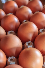 Close-up of a group of fresh eggs