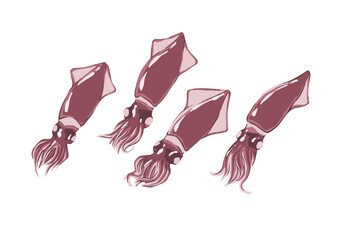 シンプルな茹でホタルイカのイラスト素材