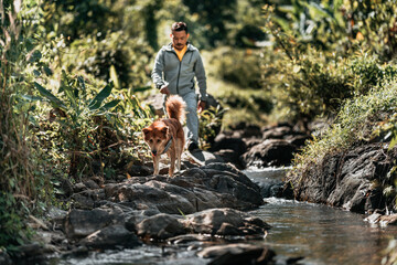 A dog excited to adventure with Hikers walk on rocks in the stream flowing from the waterfall in the forest.