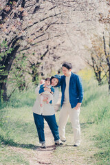 桜並木と若い家族