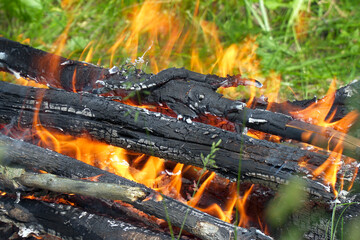 View of the burning campfire in camp