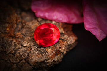 Radiant Red Rose Quartz Crystal and Petals in Isolated Glass Bottle with Heart-shaped Reflection, a Bright and Beautiful Valentine's Day Composition