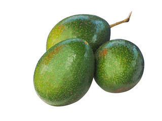collection of avocado images