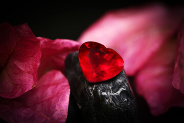 Red rose on black background, single and striking, showcasing nature's beauty in a close-up macro shot, highlighting the vibrant color of the blossom