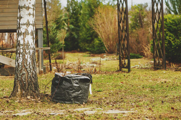 early spring cleaning in garden. Raking leaves. Composting in bags. Seasonal yardwork.