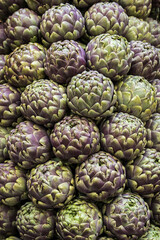 Fototapeta premium Les artichauts