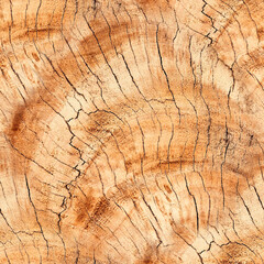 wood, texture, seamless background, pattern, bark, beautiful background