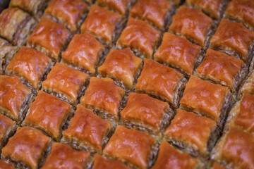 Traditional Turkish dessert, fresh crispy layered whole walnut baklava at a local pastry shop in the Historic Peninsula, Istanbul, Turkey